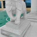 潍坊 白麻花岗岩动物异形石雕-大象