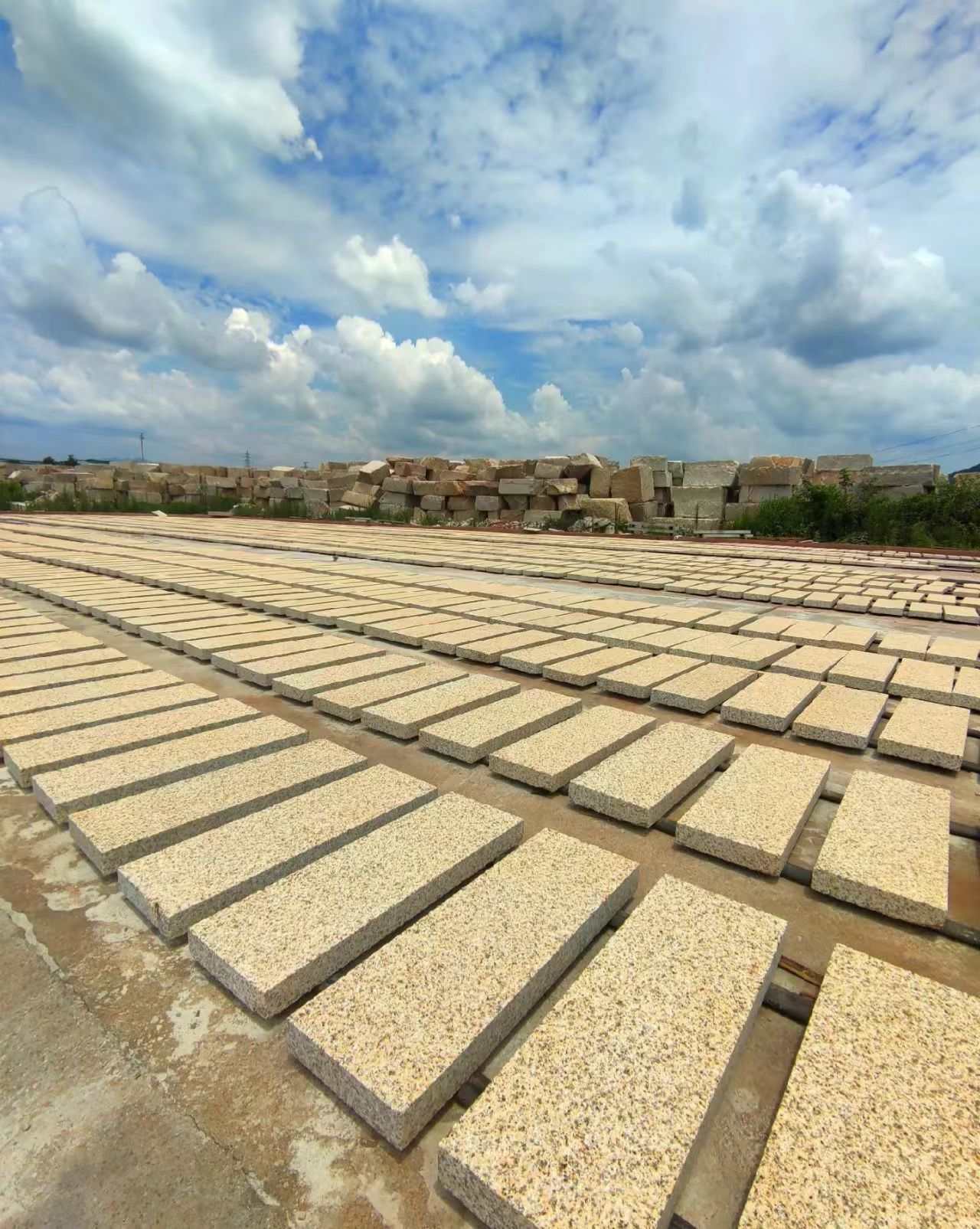 潍坊 黄金麻花岗岩荔枝面地铺石防护中